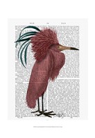 Framed Crested Marsala Bird