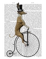 Framed Greyhound on Black Penny Farthing Bike