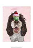 Framed Springer Spaniel with Cupcake