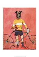 Framed Greyhound Cyclist