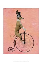 Framed Greyhound on Black Penny Farthing