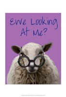 Framed Ewe Looking at Me DeNiro Sheep