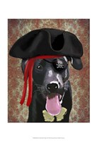 Framed Black Labrador Pirate Dog