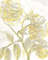 Framed 'Belle Fleur Yellow I Crop' border=