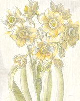 Framed Belle Fleur Yellow IV Crop