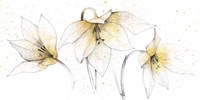 Framed Gilded Graphite Floral Trio