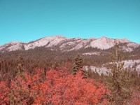 Framed Sierra Nevada Mountains