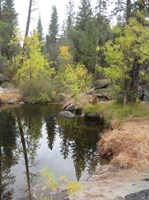 Framed Lake In Sierras