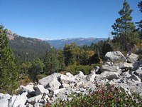 Framed Sierra Nevada Mountains 1