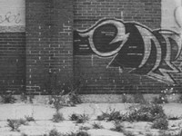 Framed Graffiti On The Wall