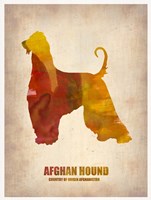 Framed Afghan Hound