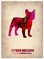 Framed French Bulldog