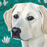 Framed Dlynn's Dogs - Magnolia