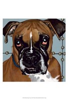 Framed Dlynn's Dogs - Rocco