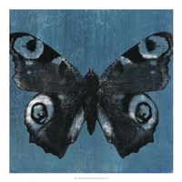 Framed Chambray Butterflies I