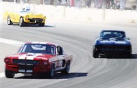 Framed Mustang and Corvette Racing