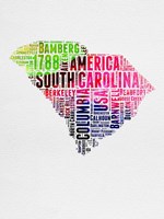 Framed South Carolina Watercolor Word Cloud