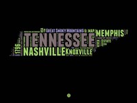 Framed Tennessee Word Cloud 1