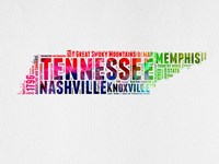Framed Tennessee Watercolor Word Cloud