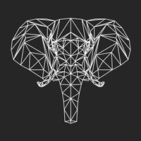 Framed Elephant Polygon