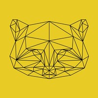 Framed Yellow Raccoon Polygon
