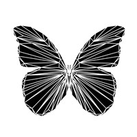 Framed Black Butterfly