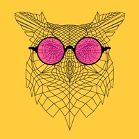 Framed Owl in Pink Glasses