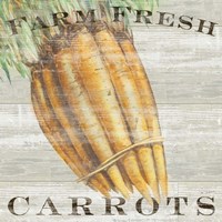 Framed Farm Fresh Carrots