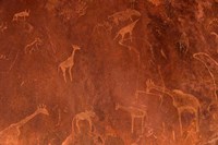 Framed Cave Paintings by Bushmen, Damaraland, Namibia