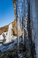 Framed Seljalandsfoss Waterfall in the Winter, Iceland