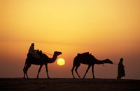 Framed Caravan, Morocco