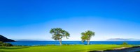 Framed Makena Golf Course, Hawaii