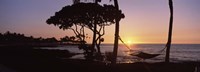 Framed Hammock on the Beach, Fairmont Orchid, Hawaii