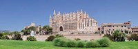 Framed Palma Cathedral (La Seu) and Almudaina Palace, Spain