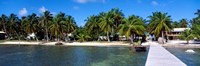 Framed Oceanfront Pier, Caye Caulker, Belize