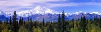 Framed Denali National Park, Alaska