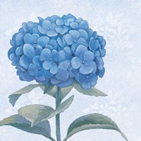Framed Blue Hydrangea III Crop