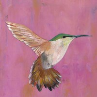 Framed Sweet Hummingbird I