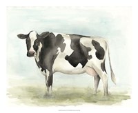 Framed Watercolor Cow II