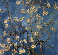 Framed Blossoming Almond Tree, Saint-Remy, c.1890 Detail