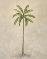 Framed 'Palm Tree 2' border=