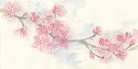 Framed Cherry Blossom II