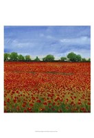 Framed Field of Poppies I