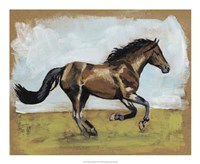 Framed Equestrian Studies I