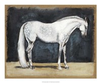 Framed Equestrian Studies V