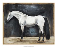 Framed Equestrian Studies VI