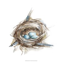 Framed Bird Nest Study II