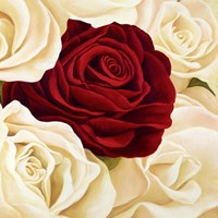Framed Rose Composition (Detail)