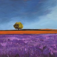 Framed Field of Lavender (Detail)