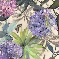 Framed Lilac Hydrangeas